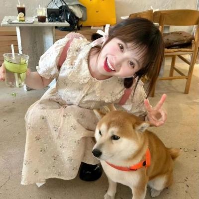 偶然的田园日记